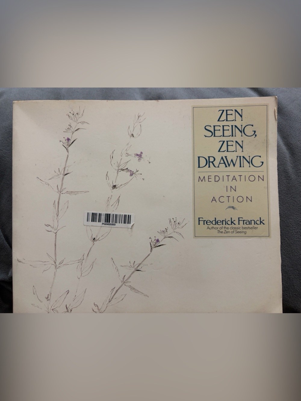 Zen Seeing, Zen Drawing